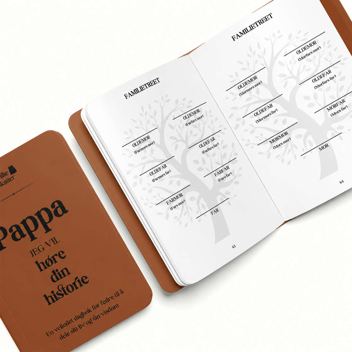 Fars minner – en guidet dagbok